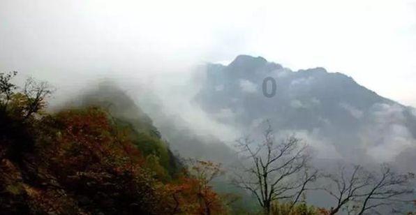 机智问答网页-聪明解答